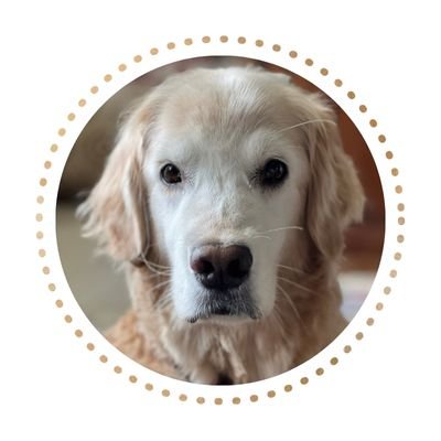 Annie Profile Picture | WISE360