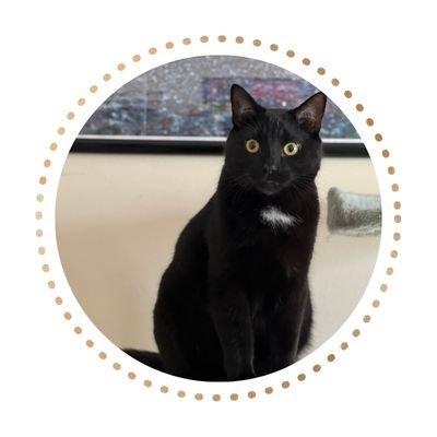 Enzo Profile Picture | WISE360