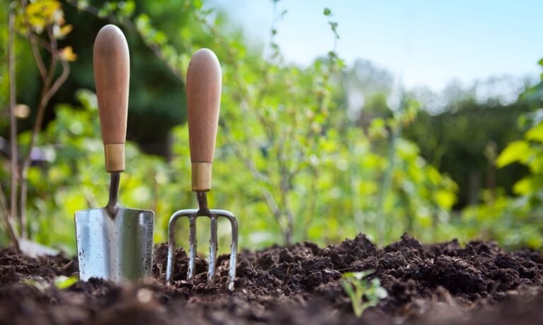 closet of a garden rake and digger in the garden soil