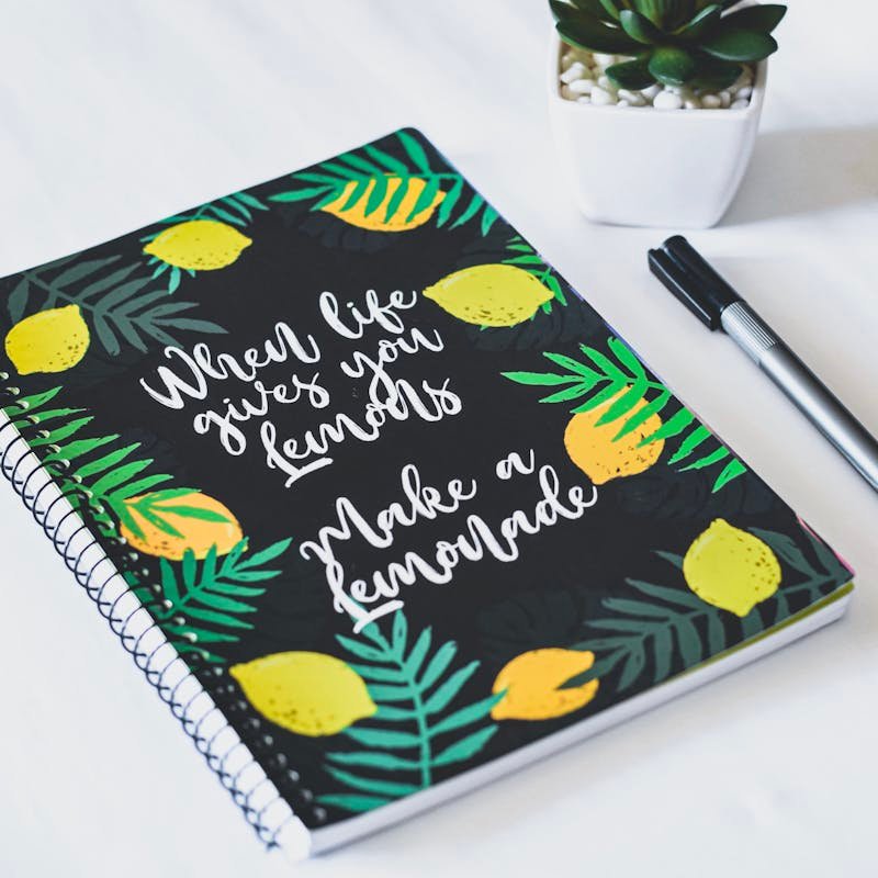 Journal/Notebooks