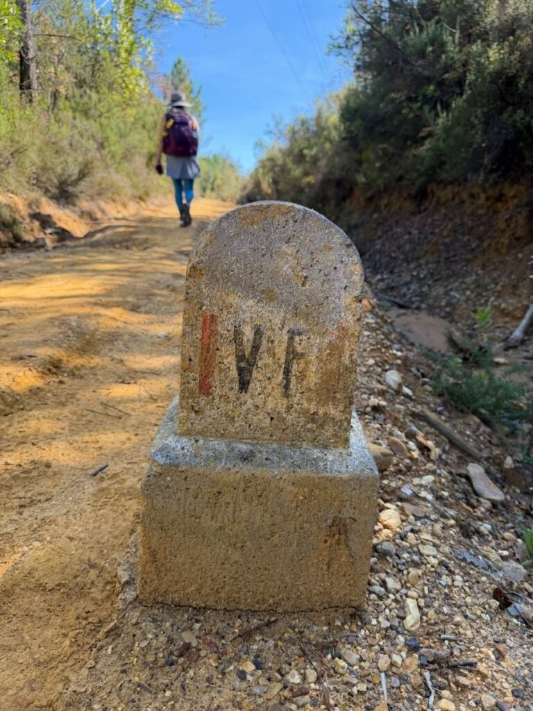 a Via Francigena stone marker and a hiker's is in the background | WISE360