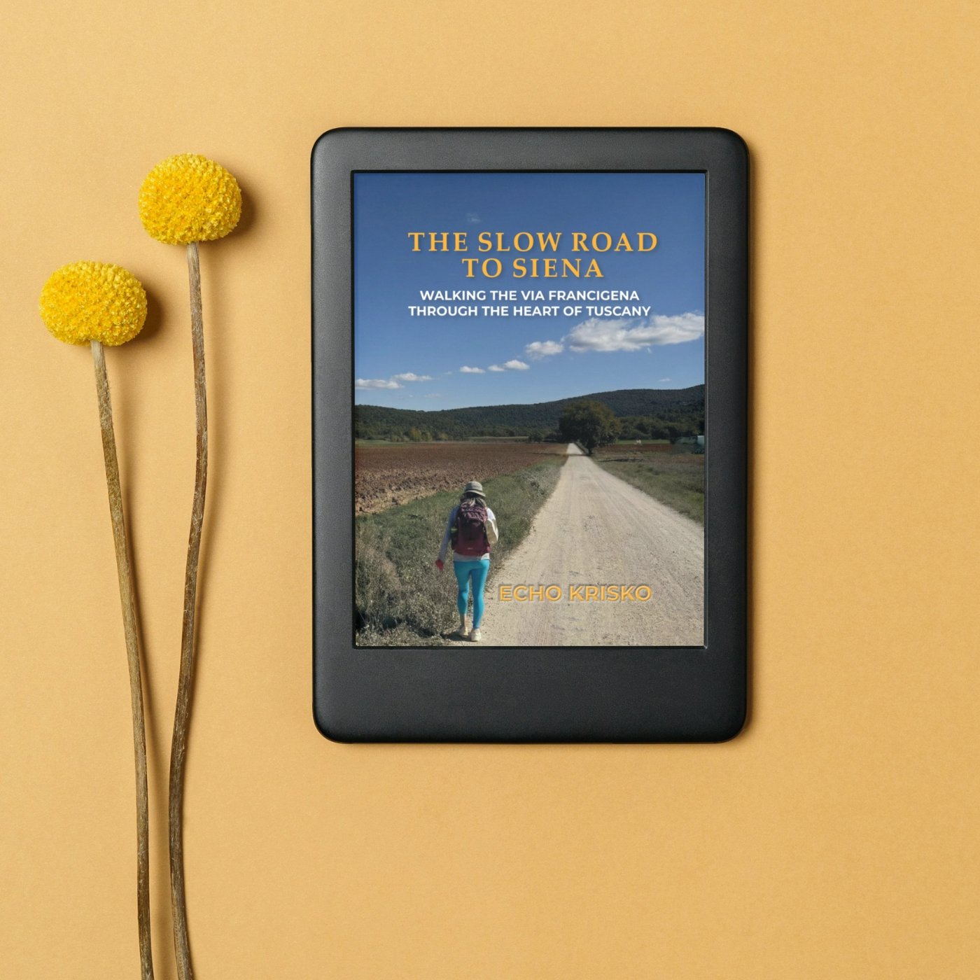 TSRT Kindle Mockup | WISE360